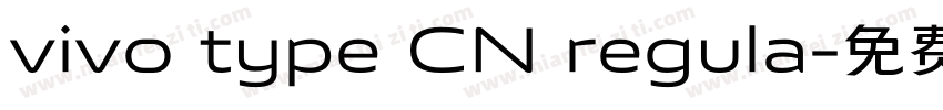 vivo type CN regula字体转换